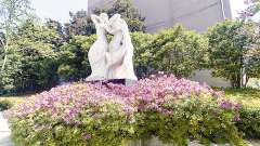 <b>引各地逛人前来旅逛</b>