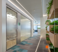 来自海峡俄罗斯“日出”泅水俱乐部51支代表队