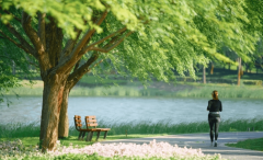 <b>添加现实得房率</b>